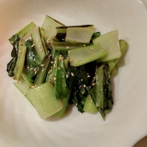 小松菜の一番美味しい食べ方！小松菜の胡麻和え